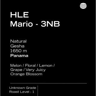 【翡翠莊園-Mario 3NB】巴拿馬 / 藝妓 / 咖啡豆 / 手沖 / 綠洲咖啡