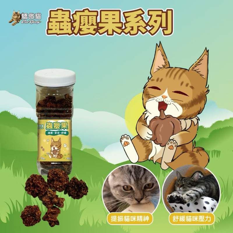 【金菘泓】新品上市🌟 Cat Glory 驕傲貓 蟲癭果實50G 蟲癭果 貓蟲癭果 貓咪玩具