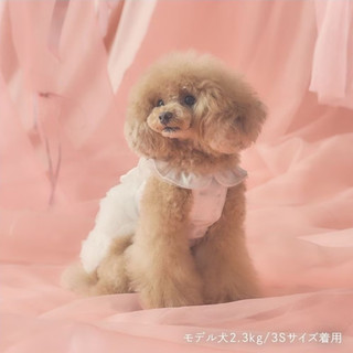【PET PARADISE】玫瑰薄紗洋裝/白 (3S)｜cherircouture 2025全新系列 質感洋裝