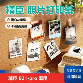 精臣標籤紙 現貨 B21-pro專用 照片列印貼紙 手機照片標籤列印紙 防水不乾膠 冰箱貼留言備忘便利貼 手賬素 標籤紙