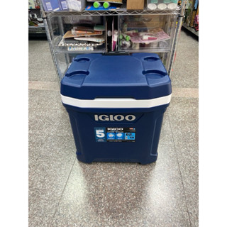 IGLOO MAXCOLD 62QT 美國製58公升滾輪冰桶 #1819522