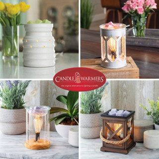 【蠟燭森林】Candle Warmers〔多款〕美國進口 香氛蠟燭 北歐風 樺木 溶蠟暖檯/擴香檯 加熱臺