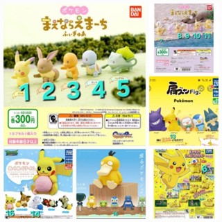 寶可夢中心 Pokemon 寶可夢 皮卡丘 波加曼 扭蛋 轉蛋 神奇寶貝中心 杯緣子 睡覺 靠肩 排隊 毛線球 公仔