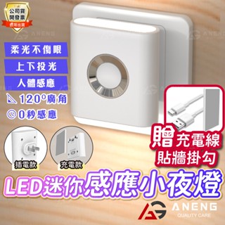 蝦皮隔日配 充電式人體感應燈 光控小夜燈 USB充電感應燈 插電小夜燈 插電感應燈 感應燈 感應小夜燈 走廊壁燈 感應式