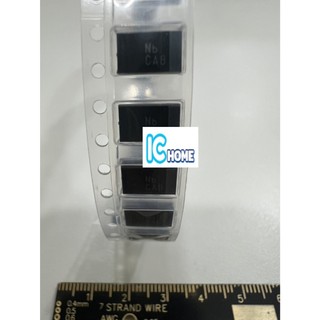 ICHOME 全新 原裝 100uF 20% 25V CASE X 7343mm 鉭質 電容 現貨