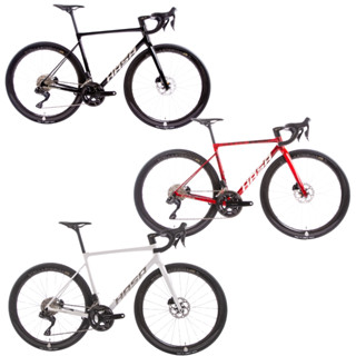 HASA DEROMA 一級碳纖維碟煞公路車