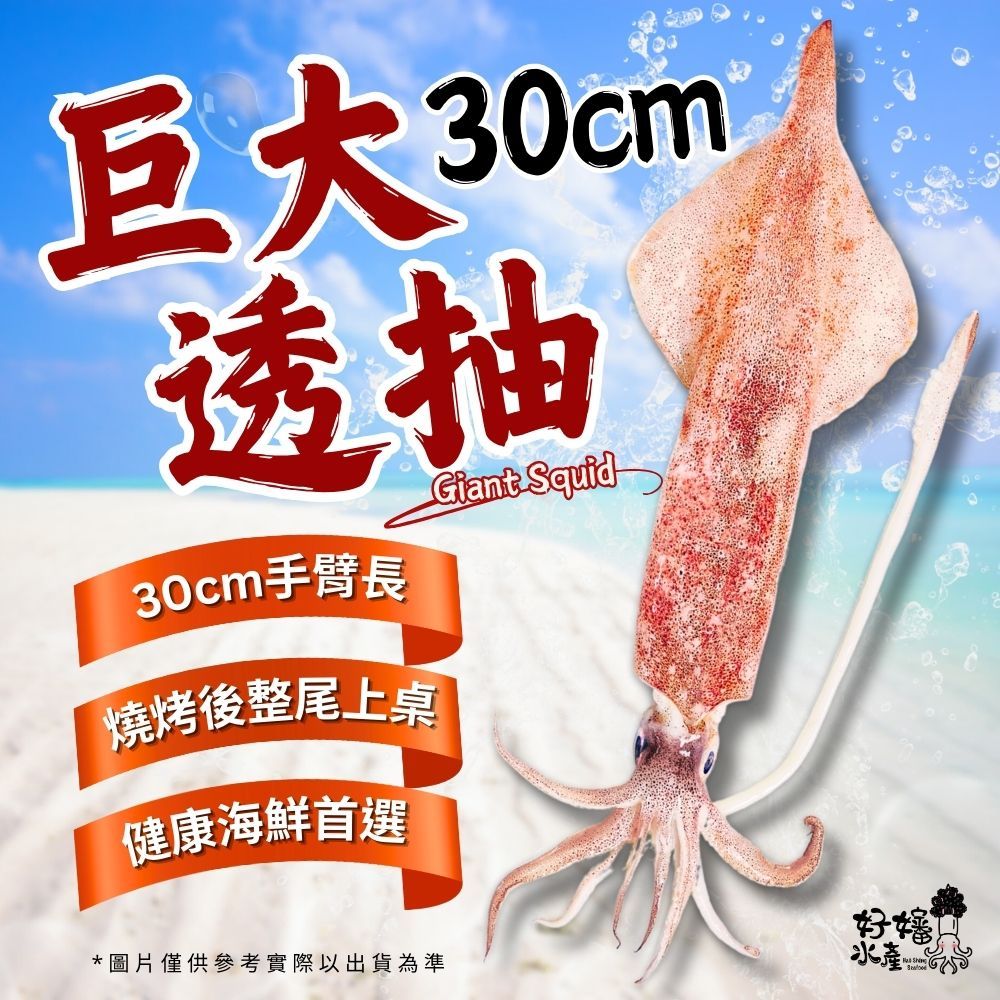 【好嬸水產】30CM巨大透抽｜200-400克｜30公分以上｜真空包船凍透抽中秋烤肉食材活凍魷魚花枝下酒菜活凍砲管烤魷魚