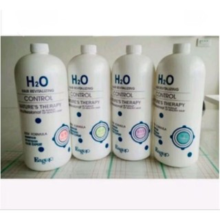 渴望 精油洗髮精 2000ml 水分子 h2o 玫瑰 茶樹 薄荷 薰衣草 花香 洗髮精