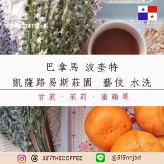 【387 The Coffee】✨獨家藝妓✨濾掛式咖啡包｜巴拿馬波奎特｜凱薩路易斯莊園｜水洗｜淺度烘焙