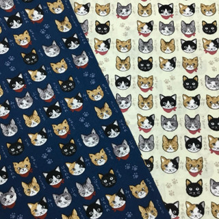 【大同布行】日本布 日本純棉布 薄棉布 日文 可愛貓 貓咪 適用於抱枕、衣褲、桌巾、佈景、手作、圍兜、洋裁、棉布