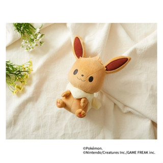 哈囉喵日本代購 寶可夢 monpoke pokemon 可水洗 絨毛 玩偶 娃娃 耿鬼 伊布 謎擬Q 波加曼
