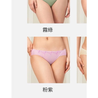 全新黛安芬Aqua Paradise完美天堂水感動低腰內褲L號柔紫粉色74-6937蕾絲親膚面料彈力包臀三角褲貼身衣物