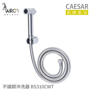 凱撒衛浴 CAESAR BS310CWT 不鏽鋼沖洗器 浴室沖洗器 附三通