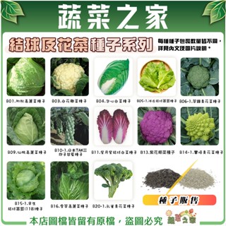 【蔬菜之家滿額免運】結球及花菜類種子系列(各種包裝數量詳見內文及圖片)花椰菜 青花菜 青花椰菜 結球萵苣 高麗菜 美生菜