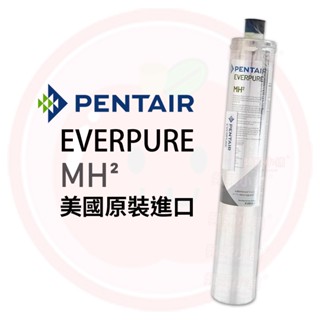 ❤️頻頻小舖❤️ 愛惠浦 EVERPURE 咖啡機 餐飲業 商用 MH² MH2 濾芯 / 濾心 美國原裝進口 平輸品