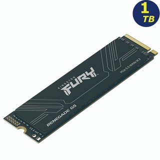 Kingston 1TB FURY Renegade G5 PCIe 5.0 SSD SFYR2S/1T0 固態硬碟