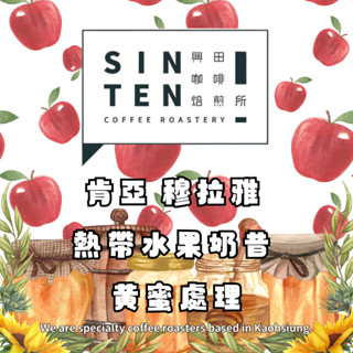 肯亞 穆拉雅 熱帶水果奶昔 黃蜜處理 【每包500公克】【興田咖啡生豆】 咖啡生豆 零售咖啡生豆 精品咖啡生豆