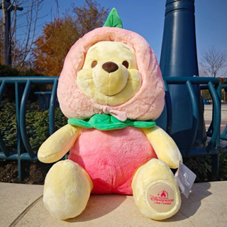 Bunibear. 迪士尼 樂園【預購】M號維尼水蜜桃娃娃 維尼 桃子裝 大娃娃 小熊維尼