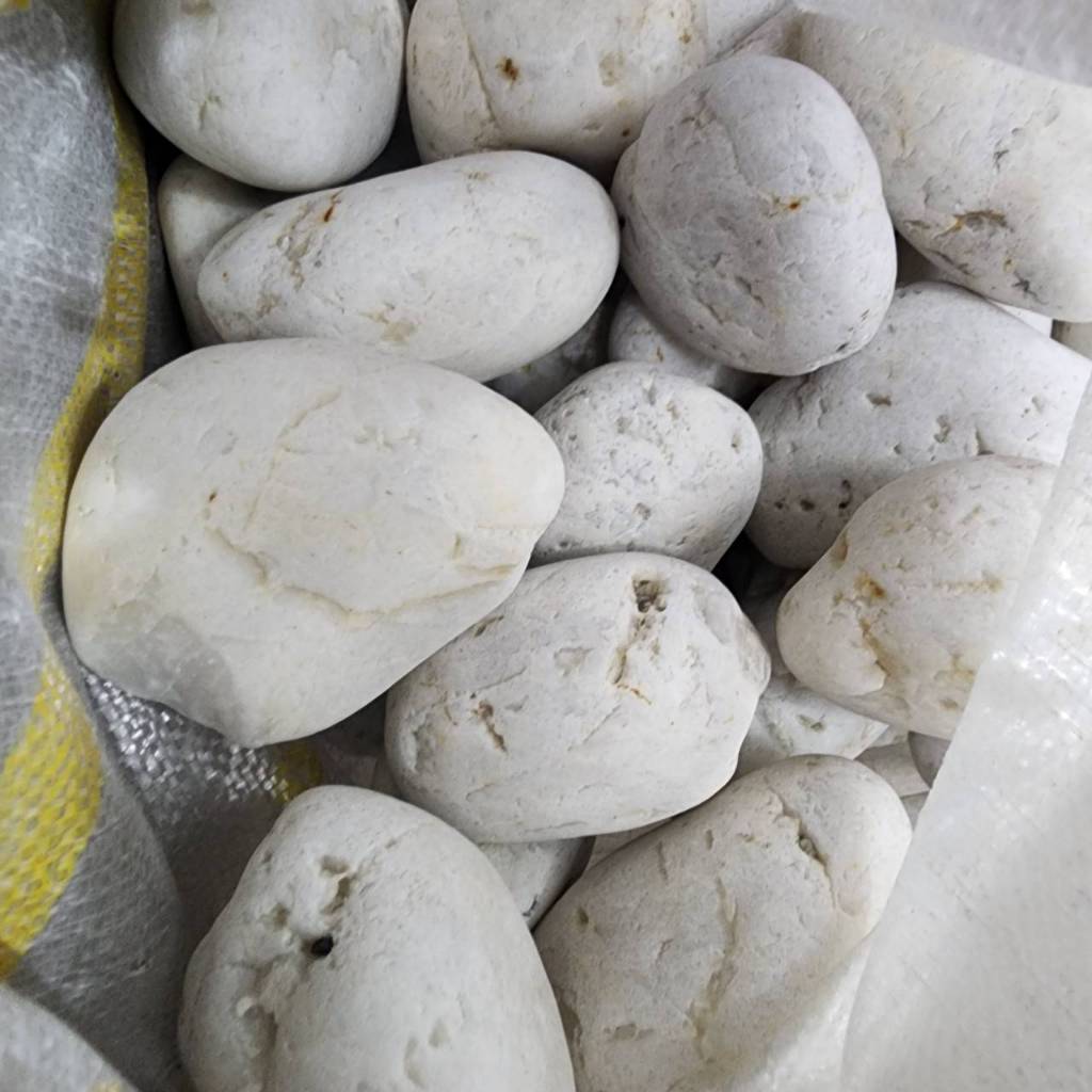 P老闆水族~大白石 圓石 500g/1kg 淨化水質 濾水 造景 水族鋪底 鵝卵石 底砂 過濾 淨化水質 濾材 園藝造景