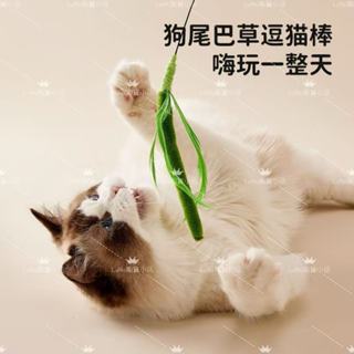 寵物用品 模擬逗貓棒 加長尺寸版 50cm 60cm 羽毛鈴鐺 互動寵物玩具 耐咬 有彈性