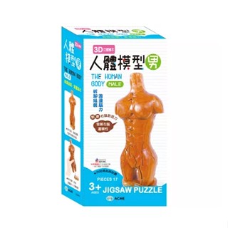 ღTammy泰咪ღ 臺灣現貨大特價!!! 世一文化 3D立體積木 人體模型積木 (男) 益智積木 100%原木積木