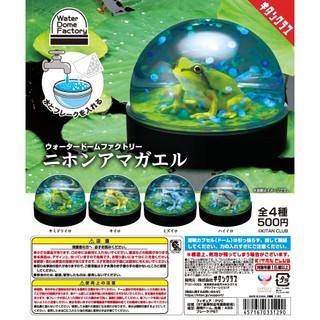 『現貨』水晶球工廠-日本雨蛙 KITAN 扭蛋 轉蛋 【蛋樂寶】
