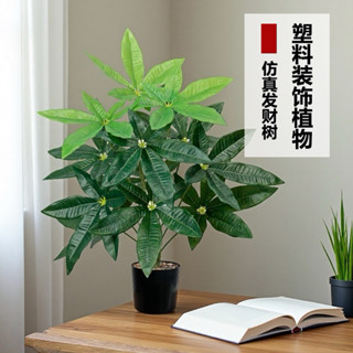 😇擬真發財樹😇模擬綠植 發財樹 大型戶外植物 假樹 假植物 庭院植物 室內客廳植物 落地裝飾假樹 造景塑膠假植物