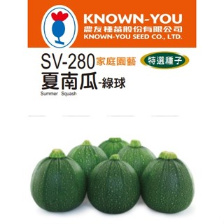 尋花趣 夏南瓜種子Summer Squash (sv-280) 綠球狀 【蔬果種子】農友種苗特選種子 每包約10粒