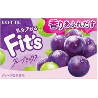 🇯🇵日本 樂天Lotte Fits 口香糖（葡萄混合口味）12枚入 ☁️沖繩連線6/19-6/21☁️