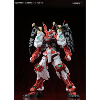現貨 BANDAI 1/100 MG 戰國異端頑駄無 戰國紅異端 異端 鋼彈創鬥者 組裝模型