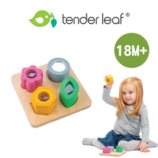美國【Tender Leaf】感官世界拼圖 木製玩具 兒童玩具 積木玩具 木質玩具 玩具 木頭玩具｜baby888