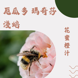 仙人指路咖啡 美加澳華人歸國伴手禮 [厄瓜多 瑪奇莎莊園 美荷菈多 水洗] 淺焙 半磅