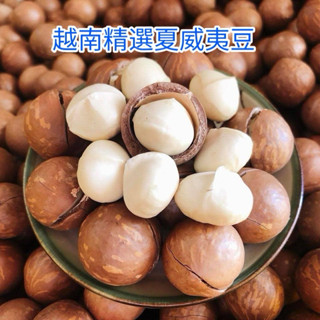 越南特產頂級夏威夷豆原味帶殼低溫烘焙500公克越南產地批發hạt macca nứt vỏ nguyên vị