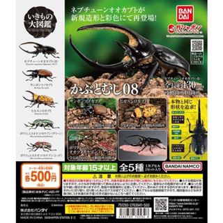 🔥現貨 獨角仙 P8 08 昆蟲 甲蟲 扭蛋 公仔 模型 海神 鍬形蟲 可動昆蟲