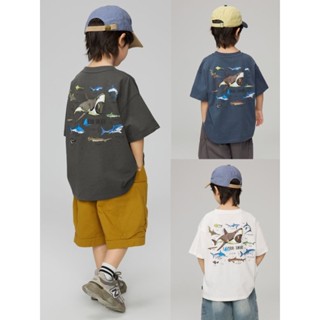✨高品質✨男童鯊魚休閒純棉潮T/海底世界/100-160中大童短袖上衣/親子裝
