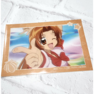 日正版 真珠美人魚 珍珠美人魚 大透卡 卡片 透明相卡 星羅 印度洋 動畫劇照 卡片 花森小桃