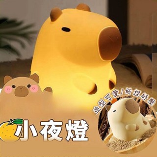 臺灣出貨🔥小夜燈 拍拍燈 水豚小夜燈 矽膠捏捏燈 USB氛圍燈 床頭燈 夜燈 可愛生日禮物 伴睡舒眠燈 捏捏燈 助眠燈