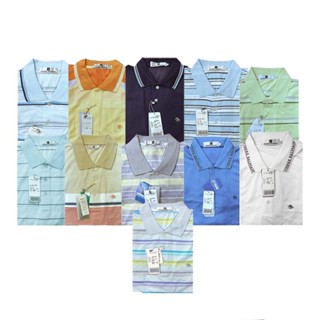 PIERRE BALMAIN皮爾帕門短袖Polo衫3L專區/休閒服/零碼出清/特賣/透氣排汗/親膚舒適/高爾夫