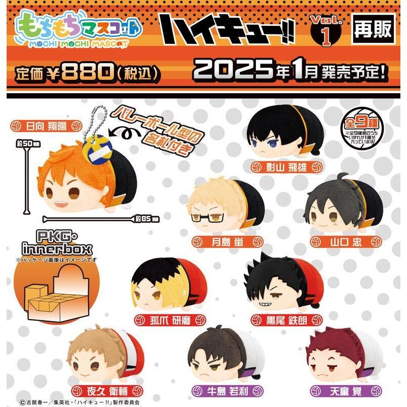 【全新正版現貨 快速出貨】排球少年 普趴第一彈 牛島確認款 趴趴 趴娃 玩偶 娃娃