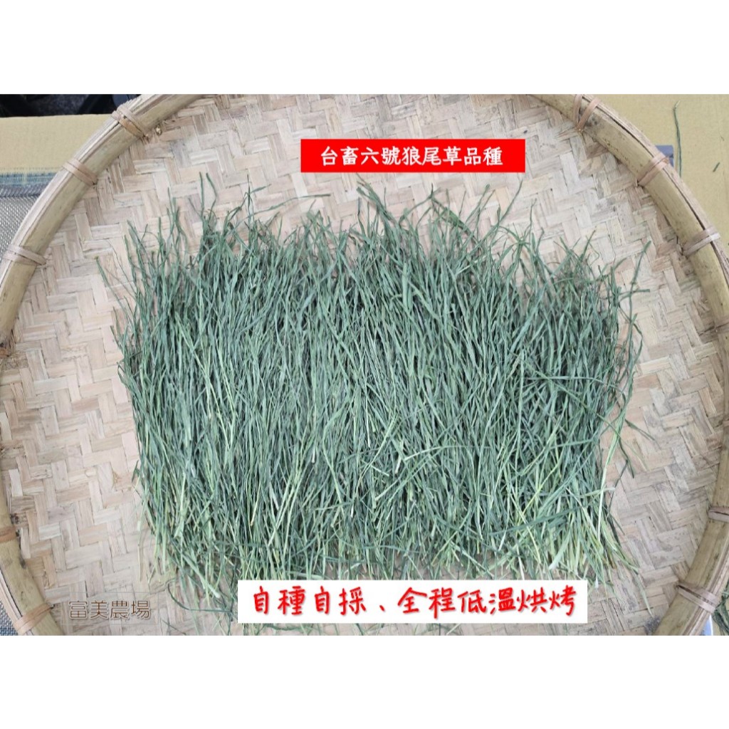 «台畜6號狼尾草»適合天竺鼠 兔子 烏龜 龍貓 倉鼠 水豚 松鼠 深受草食性動物喜愛 寵物牧草 乾草飼料 富美農場