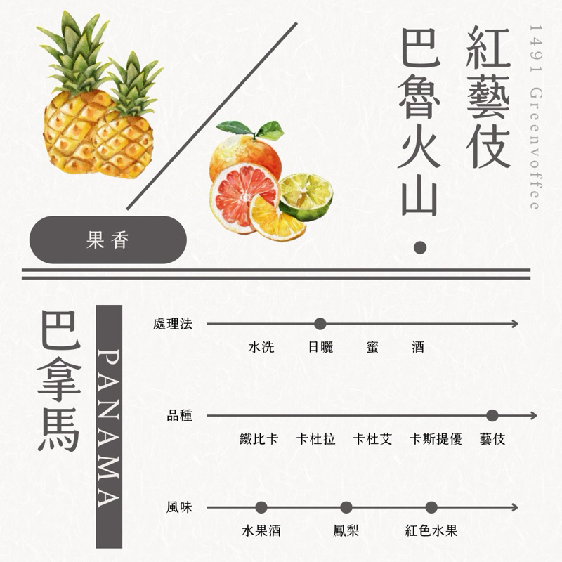 巴拿馬 巴魯火山 紅藝伎 日曬 生豆500克 精品咖啡 莊園單品 藝妓 瑰夏 商業合作 灰焉生豆