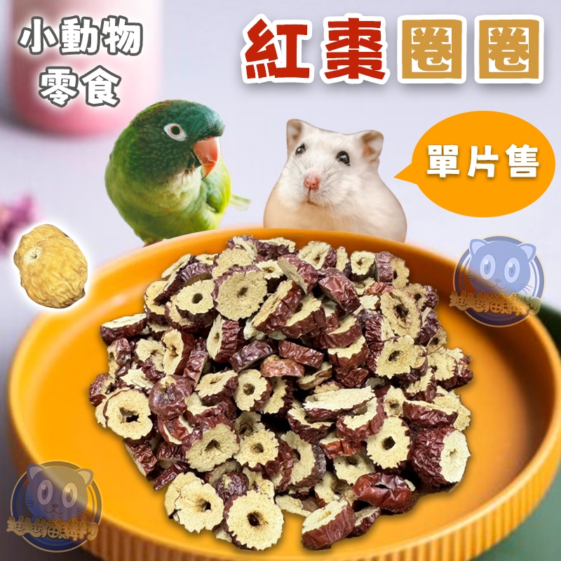 單片販售 小寵零食 紅棗圈圈 小動物用 磨牙零食 鼠兔磨牙 倉鼠零食 鼠兔零食 紅棗片 紅棗 GR咬一口 小寵點心