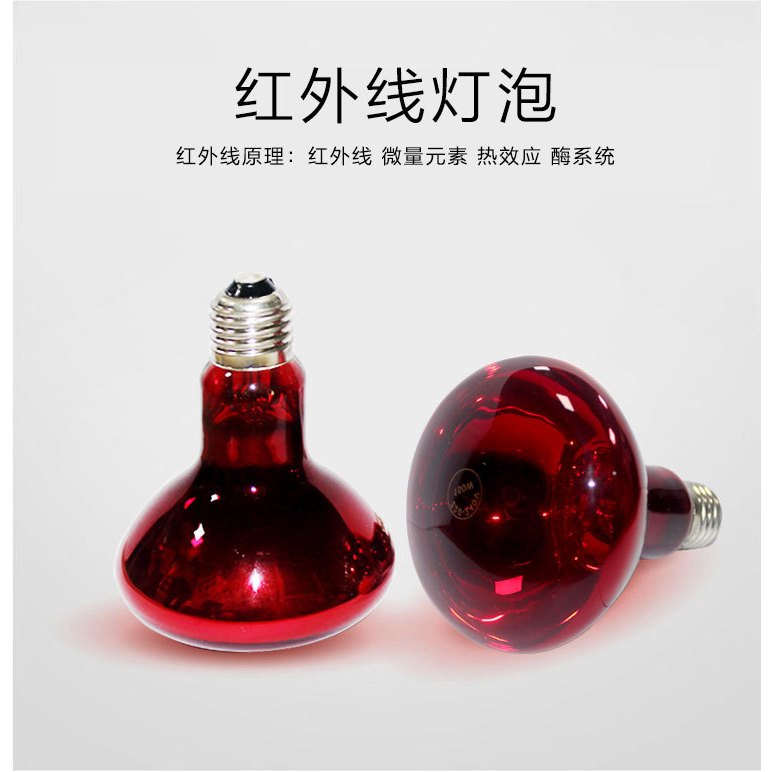 紅外線燈泡 烤燈家用電烤燈紅外線電理療儀治燈泡 復健治療E27紅外線燈泡美容燈太空艙烤燈孵化 兩棲動物取暖燈