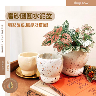 森美植所/臺灣發貨水泥盆/噴點圓圓厚水泥盆/花盆/花器/盆器/觀葉植物/多肉植物/塊根/仙人掌/虎尾蘭/文青植栽/陶器
