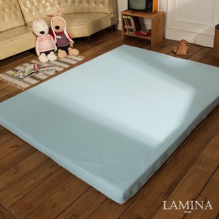 LAMINA 防蹣抗菌記憶床墊平面10cm雙人