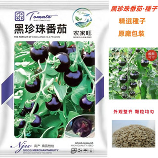 【原廠包裝】黑珍珠番茄種子 約500粒 黑色小西紅柿聖女果種籽菜園陽臺盆栽水果種子 番茄種子大全