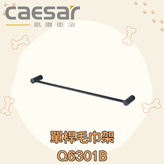 凱撒 CAESAR Q6301B 單桿毛巾架 毛巾架 浴室 毛巾