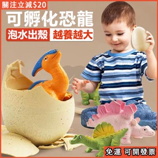 🔥免運 臺灣出貨🦖膨脹恐龍公仔 抖音同款 恐龍蛋孵化 泡水 膨脹泡水變大 霸王龍玩具 兒童禮物 模擬動物模型 恐龍玩具