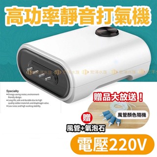 宏洋🔥220V【YE-923型 魚缸打氣機／空氣幫浦】氧氣泵 打氣機 充氧泵 打氧氣 充氧泵 增氧機 氣泡石 打氣