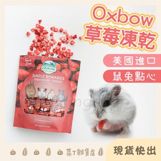 🌰菜丁🌰臺灣出貨 Oxbow草莓凍乾 倉鼠零食 倉鼠凍乾 蔬果乾 兔子 天竺鼠 龍貓 熊鼠 黃金鼠 三線鼠 黃金鼠 刺蝟